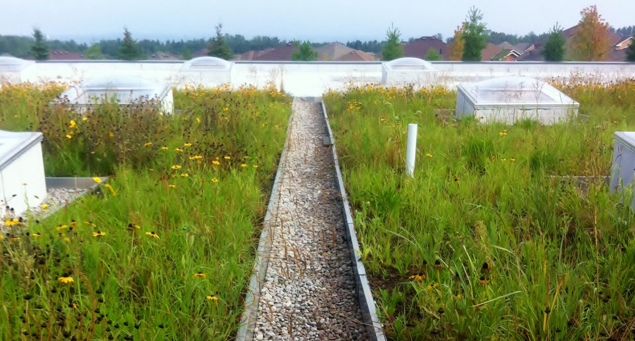 Barrie Water Treatment Plant Infrastructure Projects Landscape